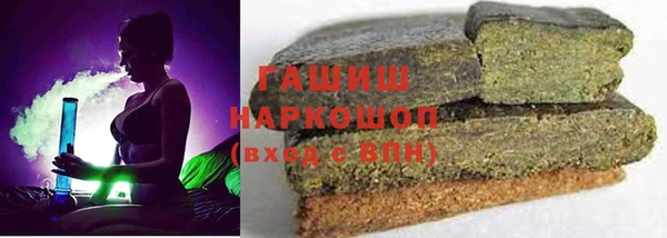 индика Вяземский