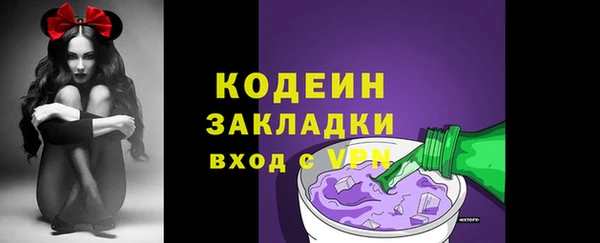 индика Вяземский