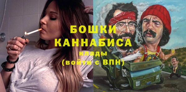 индика Вяземский