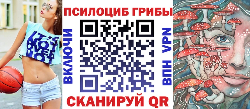закладки  Дубовка  Псилоцибиновые грибы GOLDEN TEACHER 
